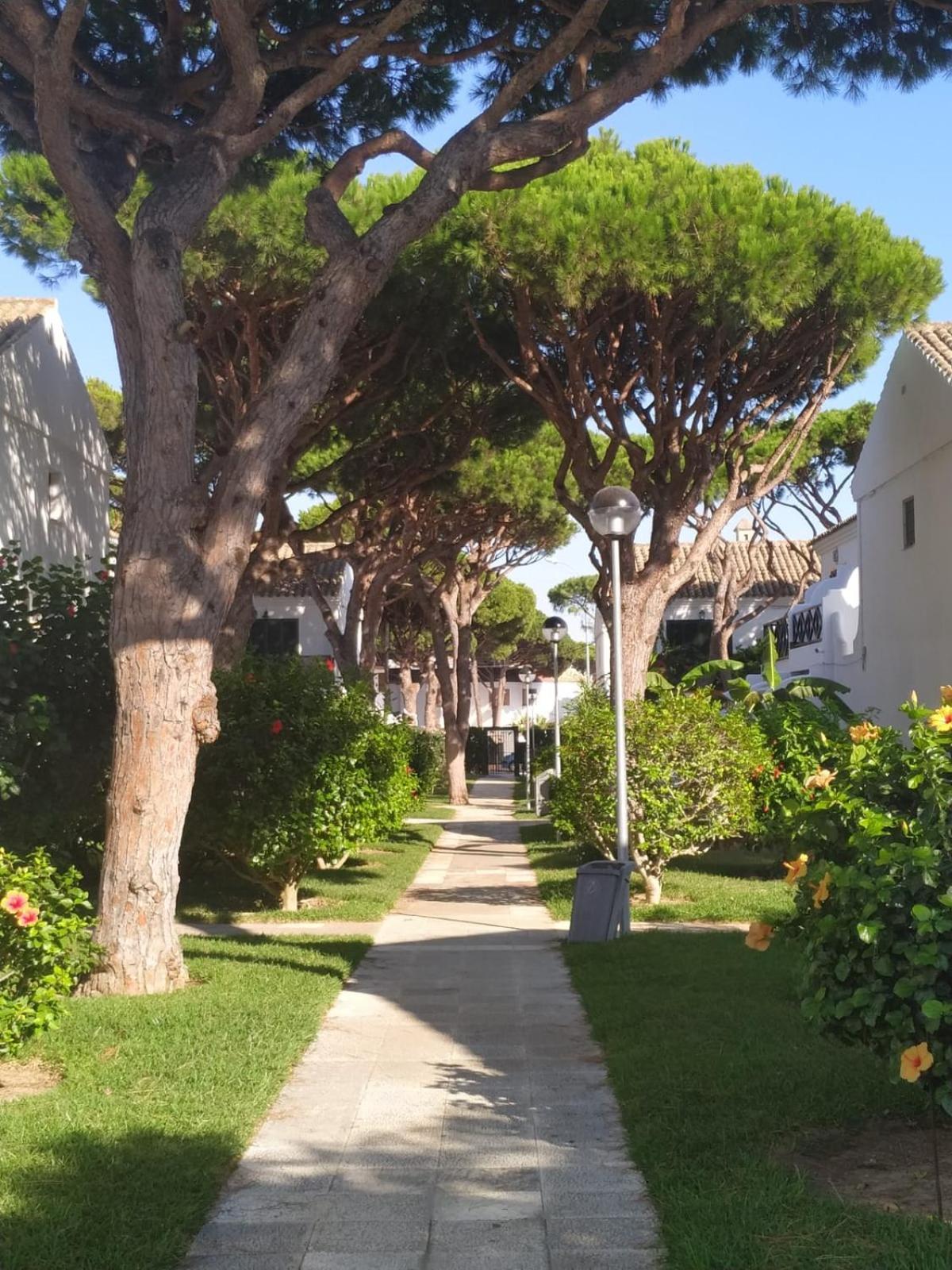 La Barrosa Duplex Βίλα Chiclana de la Frontera Εξωτερικό φωτογραφία